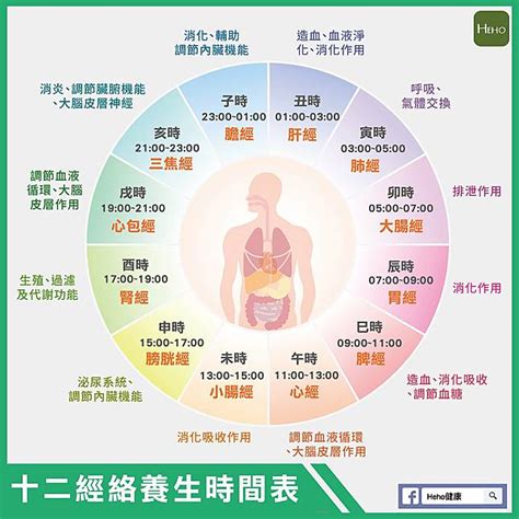 十二經絡養生時間表 風獅爺紀念品擺放